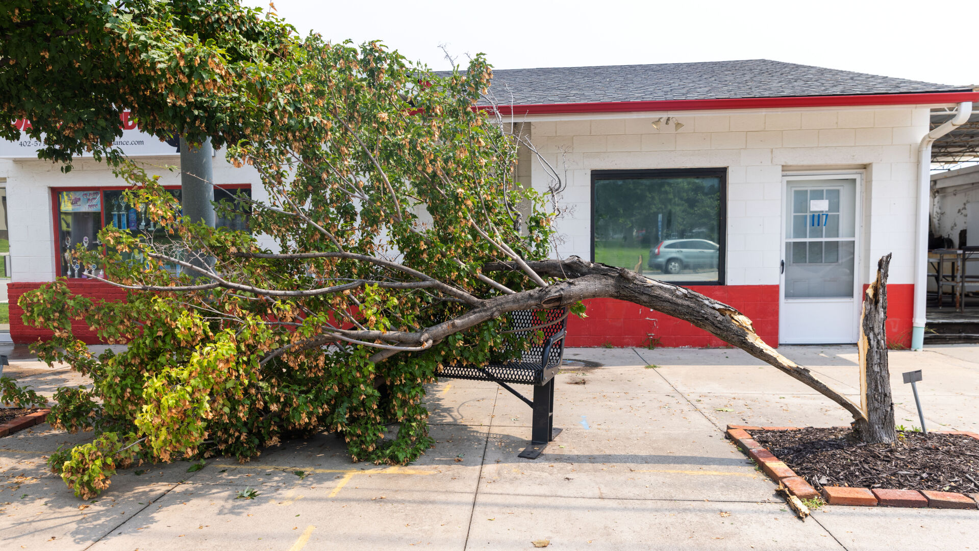 080925-owh-new-storm-cm09.jpg